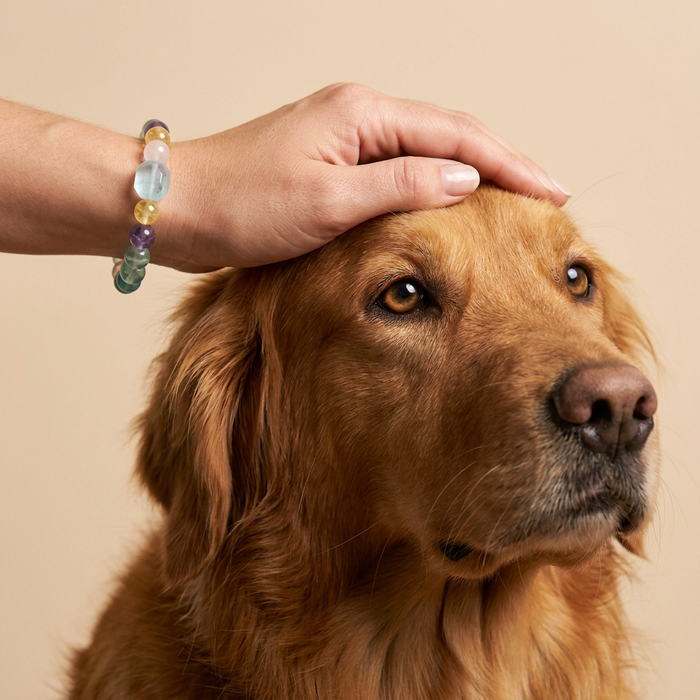 Rainbow Energy | Handmade Natural Crystal Pet Necklace