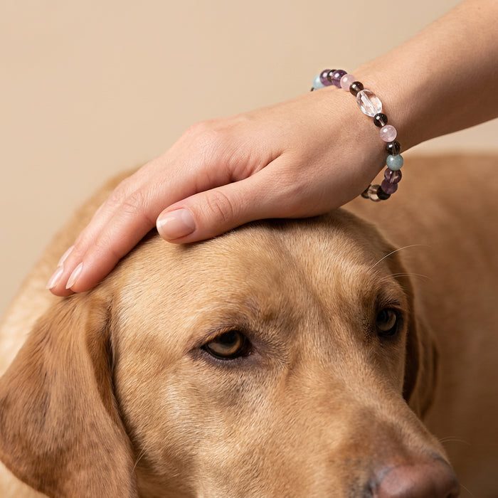 Galaxy Core | Handmade Natural Crystal Pet Necklace