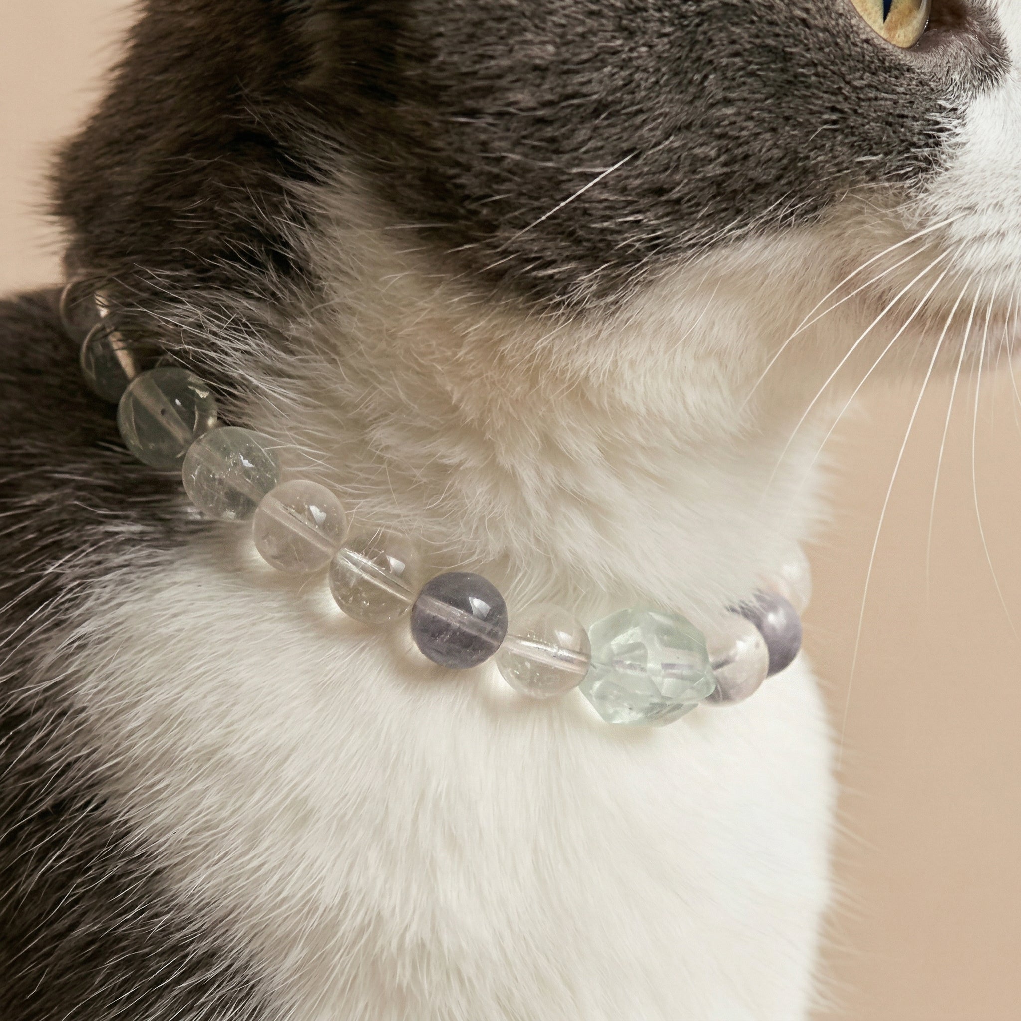 Pink Mist Dream | Handmade Natural Crystal Pet Necklace