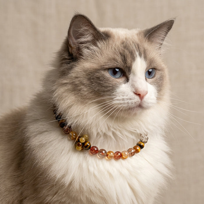 Crimson Amber Guardian | Handmade Natural Crystal Pet Necklace