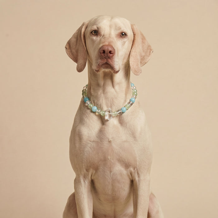 Blue Sky Heart Promise | Handmade Natural Crystal Pet Necklace