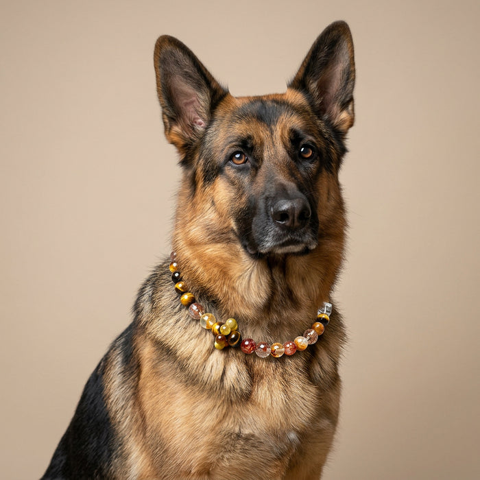 Crimson Amber Guardian | Handmade Natural Crystal Pet Necklace