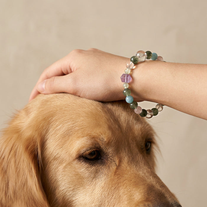 Purple Mist Heart Connection | Handmade Natural Crystal Pet Necklace