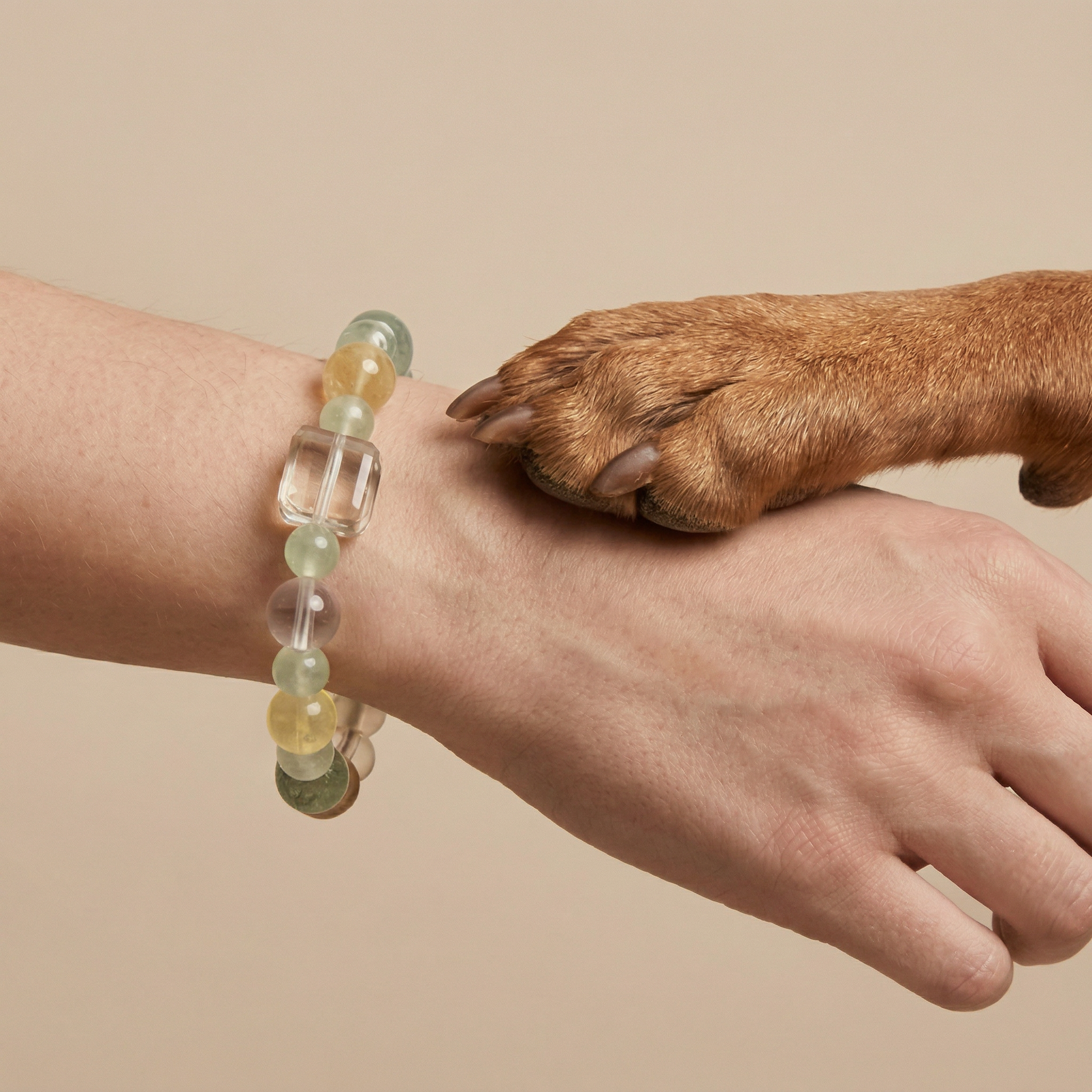Clear Lime Dream | Handmade Natural Crystal Pet Necklace