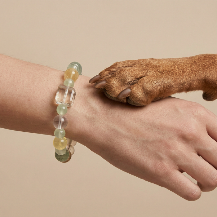 Clear Lime Dream | Handmade Natural Crystal Pet Necklace