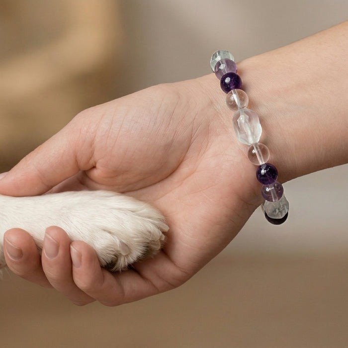 Prism Haven | Handmade Natural Crystal Pet Necklace