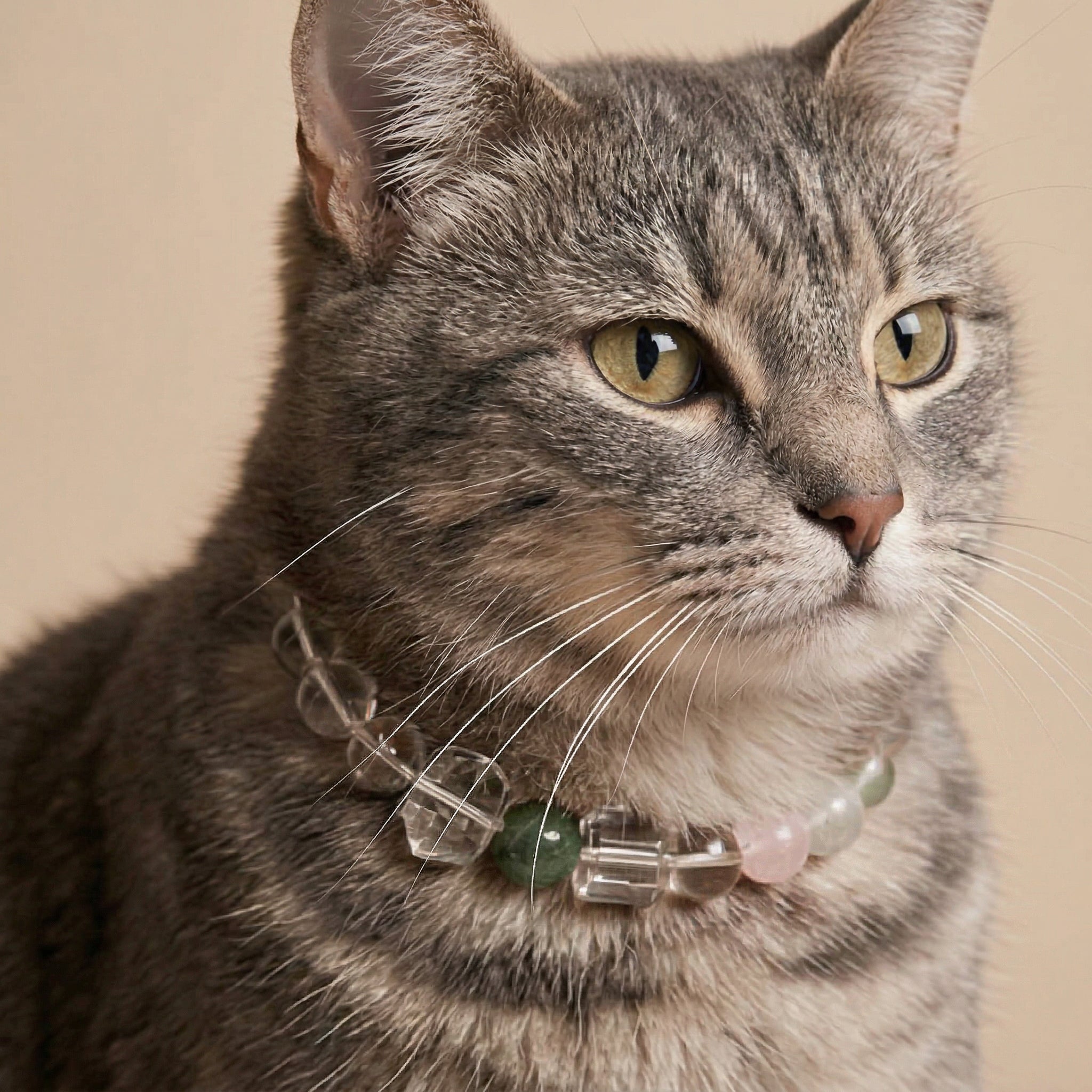 Crystal Heart Resonance | Handmade Natural Crystal Pet Necklace