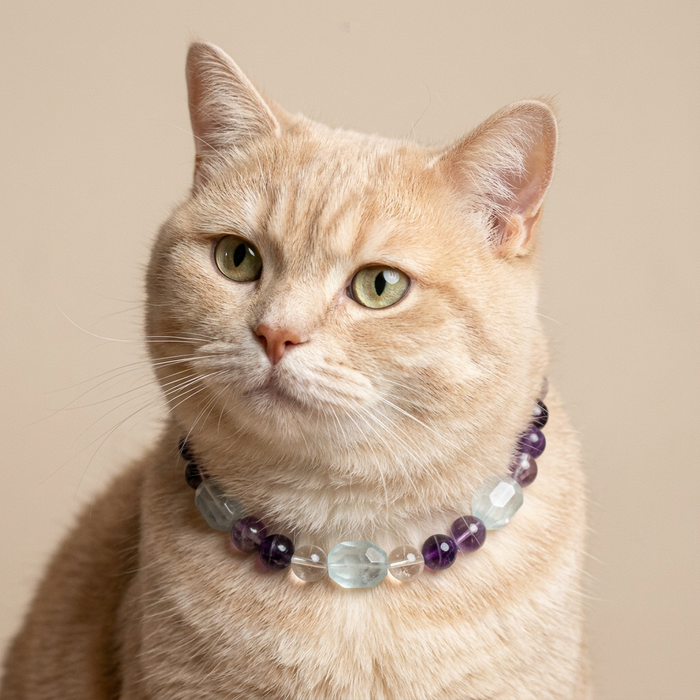 Prism Haven | Handmade Natural Crystal Pet Necklace