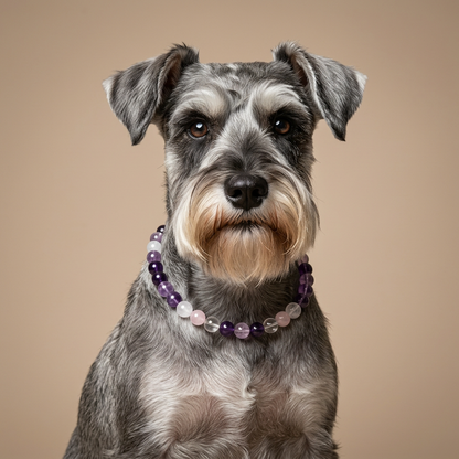 Misty Amethyst | Handmade Natural Crystal Pet Necklace
