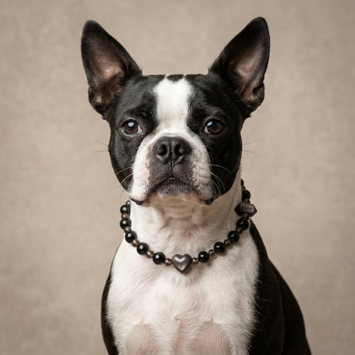 Obsidian Silver Heart Guardian | Handmade Natural Crystal Pet Necklace