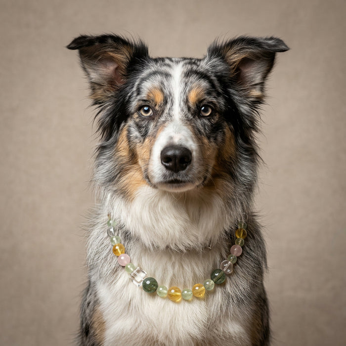 Clear Lime Dream | Handmade Natural Crystal Pet Necklace