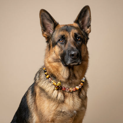 Crimson Amber Guardian | Handmade Natural Crystal Pet Necklace