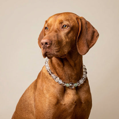 Pure White Heart Bond | Handmade Natural Crystal Pet Necklace