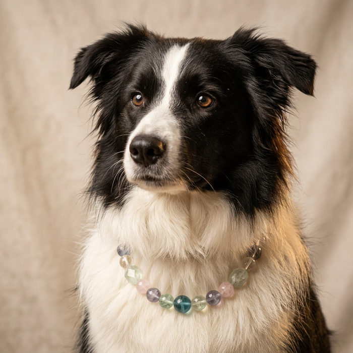 Pink Mist Dream | Handmade Natural Crystal Pet Necklace