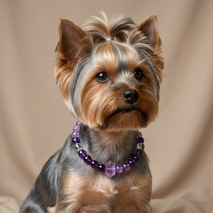 Amethyst Sugar Cube | Handmade Natural Crystal Pet Necklace