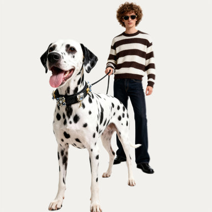 The Midnight Sparkle