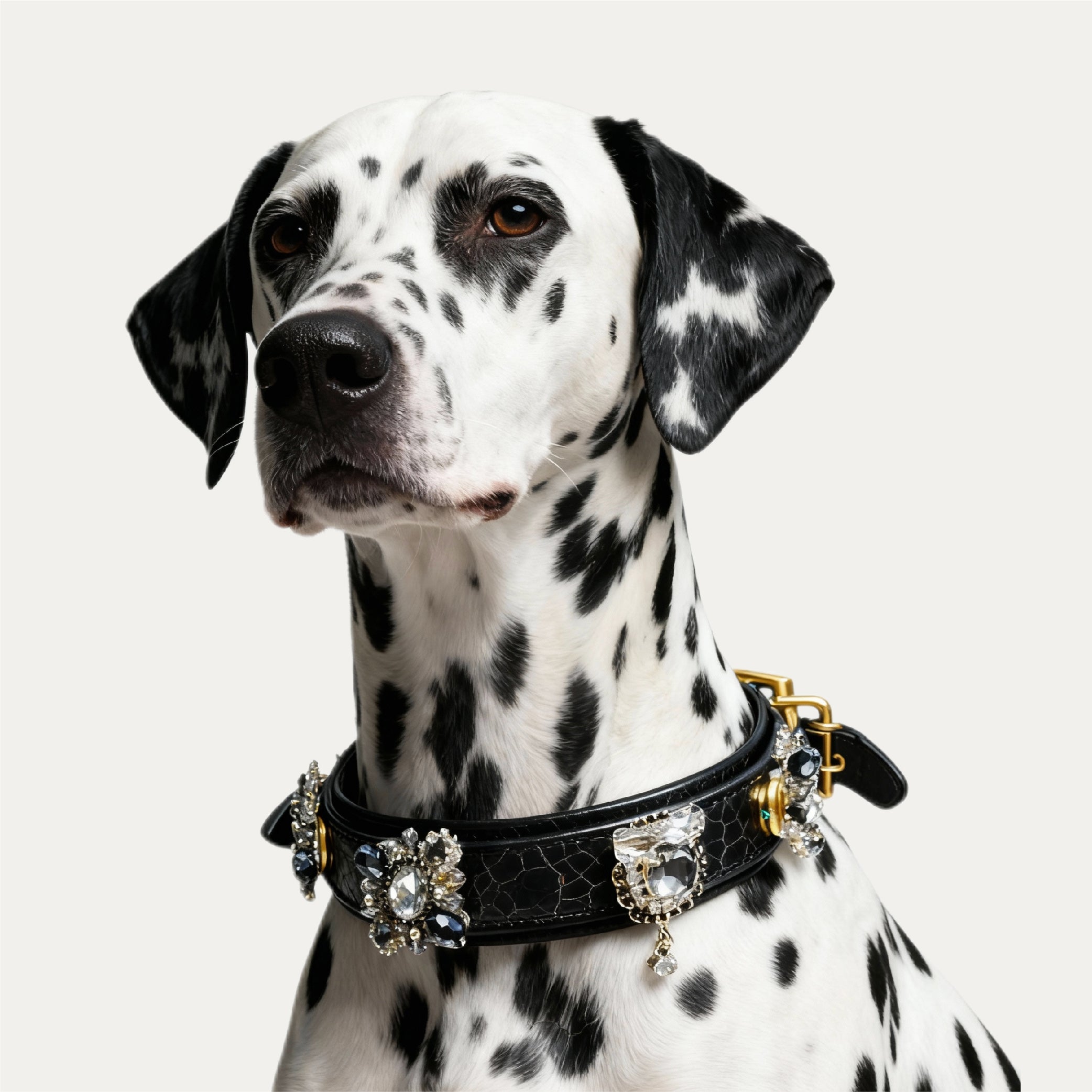 The Midnight Sparkle